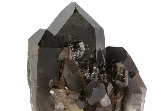 Dark Smoky Quartz Crystals - Brazil #80175